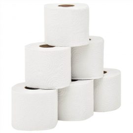 Toilet Paper 96 2 Ply 250 sheets