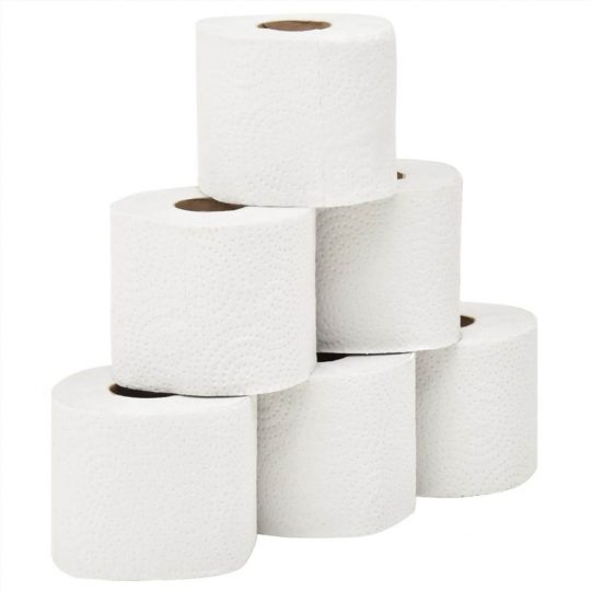Toilet Paper 96 2 Ply 250 sheets Cheap Toilet Paper